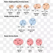 鼻线角动物剪贴画.鼻子-空若网 鼻线角动物剪贴画.鼻子-空若网