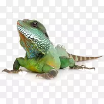 ��ͨ�������ж����Ħ��������ˮ�����ж���-������