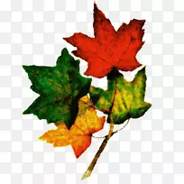 �＾����Ұè�ռ�-����-������