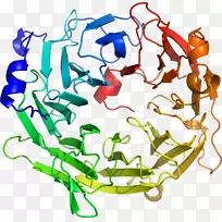 线点生物剪贴画线-空若网 线点生物剪贴画线-空若网
