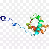 人体珠宝剪贴画.设计-空若网 人体珠宝剪贴画.设计-空若网