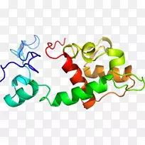 有机体线-空若网 有机体线-空若网