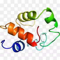 株系有机体蔬菜系-空若网 株系有机体蔬菜系-空若网