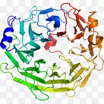 ������Ϊ�л����ߵ��������-������