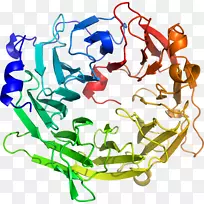 ������Ϊ�ߵ��������-������