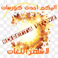 品牌树夹艺术-罗塞塔石-空若网 品牌树夹艺术-罗塞塔石-空若网