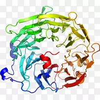 �ߵ������������-������