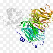 线条艺术树图形设计剪贴画树-空若网 线条艺术树图形设计剪贴画树-空若网