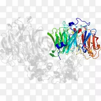 ������Ϊ��������-������