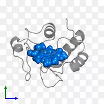 人体珠宝有机体字体-珠宝-空若网 人体珠宝有机体字体-珠宝-空若网