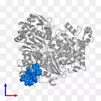 钴蓝体珠宝树字体树-空若网 钴蓝体珠宝树字体树-空若网
