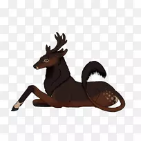 驯鹿鹿角陆生动物野生动物精神马-空若网 驯鹿鹿角陆生动物野生动物精神马-空若网