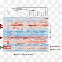 线点字体线-空若网 线点字体线-空若网