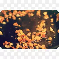 食谱-空若网 食谱-空若网