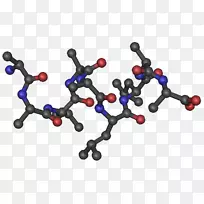 激素fndc 5健康运动科学体重控制-空若网 激素fndc 5健康运动科学体重控制-空若网