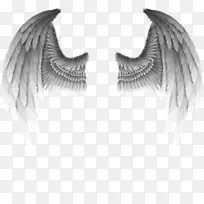 数码绘画艺术家的艺术作品-翅膀图案材料-空若网 数码绘画艺术家的艺术作品-翅膀图案材料-空若网