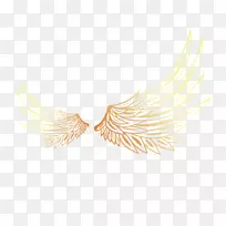 黄色羽毛图案.手绘翅膀-空若网 黄色羽毛图案.手绘翅膀-空若网