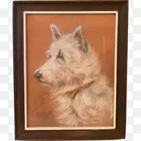 诺维奇猎犬格伦凯恩猎犬西部高地白色猎犬澳大利亚猎犬西部高地猎犬-空若网 诺维奇猎犬格伦凯恩猎犬西部高地白色猎犬澳大利亚猎犬西部高地猎犬-空若网