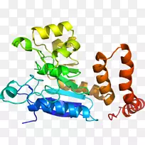 生物线动物剪贴画线-空若网 生物线动物剪贴画线-空若网