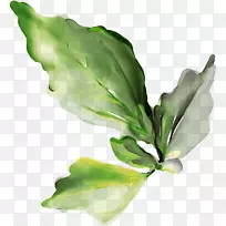 ��ֽ����-������