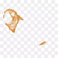 特写金狮-空若网 特写金狮-空若网