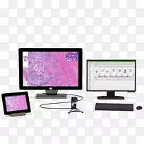 数字病理学数字数据计算机-空若网 数字病理学数字数据计算机-空若网