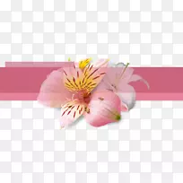 切花花卉设计.手绘盆栽-空若网 切花花卉设计.手绘盆栽-空若网