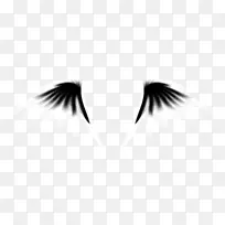 黑眼圈-黑白翅膀-空若网 黑眼圈-黑白翅膀-空若网