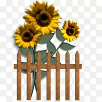 普通向日葵博客剪贴画-自助服务-空若网 普通向日葵博客剪贴画-自助服务-空若网