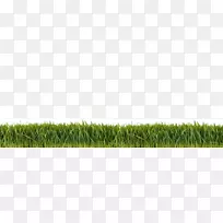 ²Ý±¾²Ýƺ²Ý-¿ÕÈôÍø ²Ý±¾²Ýƺ²Ý-¿ÕÈôÍø