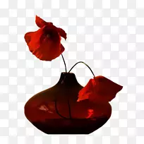 静物摄影花瓶开花植物花瓶-空若网 静物摄影花瓶开花植物花瓶-空若网