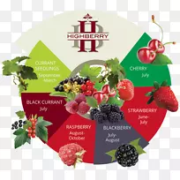 覆盆子蔬菜水果覆盆子-空若网 覆盆子蔬菜水果覆盆子-空若网