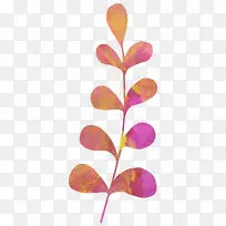 Ë®²Ê»ËØÃèÖ²Îïͼ-¿ÕÈôÍø Ë®²Ê»ËØÃèÖ²Îïͼ-¿ÕÈôÍø