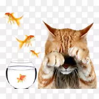 ���������ɶ�-����-������