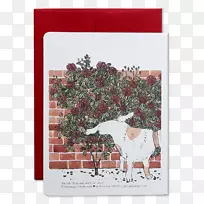 ��ͣ��������õ��-������