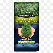 �ݵ����ӣ��������ݣ�����̣��ݣ������-̫ƽ��������-������