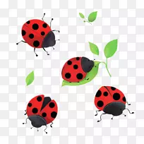 ư�沩�ͼ�����-������