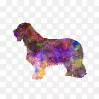 留着胡子的牧羊犬,粗糙的牧羊犬,边境牧羊犬,古老的英国牧羊犬,澳大利亚牧羊犬-空若网 留着胡子的牧羊犬,粗糙的牧羊犬,边境牧羊犬,古老的英国牧羊犬,澳大利亚牧羊犬-空若网