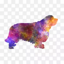 狗熊鼻子-罗梅罗-空若网 狗熊鼻子-罗梅罗-空若网