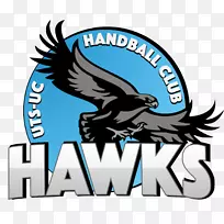 圣基尔达悉尼大学手球俱乐部手球联盟澳大利亚圣基尔达手球俱乐部-手球-空若网 圣基尔达悉尼大学手球俱乐部手球联盟澳大利亚圣基尔达手球俱乐部-手球-空若网