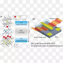 品牌线点技术.线-空若网 品牌线点技术.线-空若网
