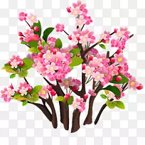 花卉设计切花花束植物-空若网 花卉设计切花花束植物-空若网