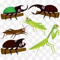 甲虫、蚱蜢、螳螂、剪贴画.卡通昆虫材料-空若网 甲虫、蚱蜢、螳螂、剪贴画.卡通昆虫材料-空若网