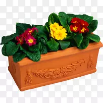 花盆收藏摄影剪贴画-花-空若网 花盆收藏摄影剪贴画-花-空若网