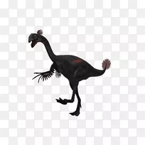 伶盗龙动物-巨无霸-空若网 伶盗龙动物-巨无霸-空若网