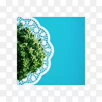 草莓奶油蛋糕叶蔬菜绿松石叶-空若网 草莓奶油蛋糕叶蔬菜绿松石叶-空若网