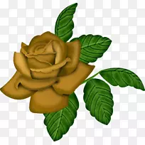 Youtube贺卡礼品清单-YouTube-空若网 Youtube贺卡礼品清单-YouTube-空若网