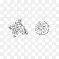 薄荷,柠檬水,薄荷,棒状薄荷叶-空若网 薄荷,柠檬水,薄荷,棒状薄荷叶-空若网