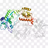 平面设计树剪贴画-树-空若网 平面设计树剪贴画-树-空若网