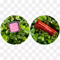 草叶蔬菜-也许-空若网 草叶蔬菜-也许-空若网